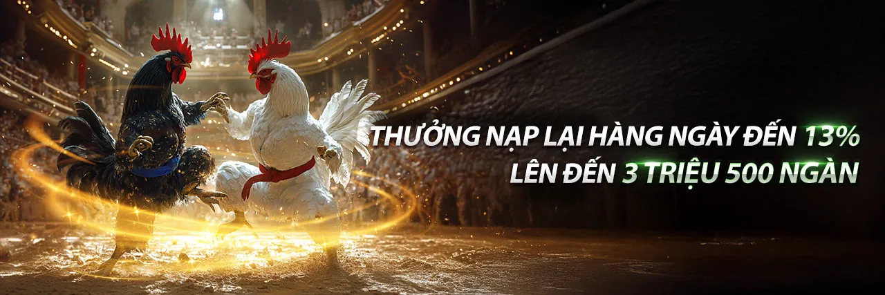 Đá Gà Thomo 12/9 Trực Tiếp – Sân Chơi Kịch Tính